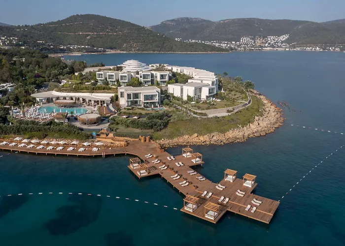 Susona Bodrum, Lxr &