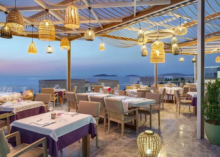 Susona Bodrum, Lxr &