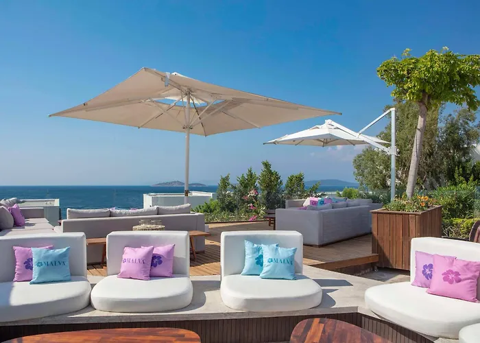 Susona Bodrum, Lxr &