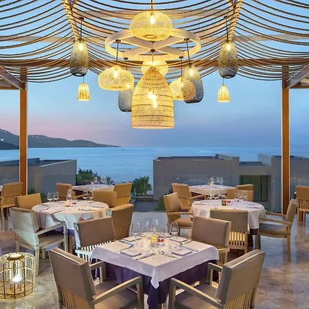 Susona Bodrum, Lxr &