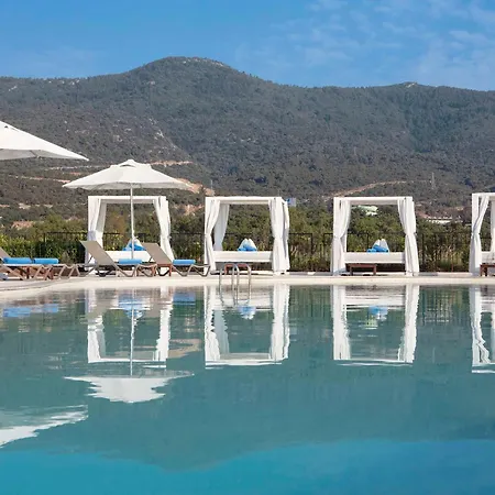Susona Bodrum, Lxr & טורבה