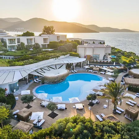 Susona Bodrum, Lxr &
