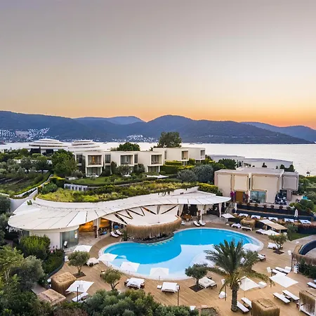 Susona Bodrum, Lxr &